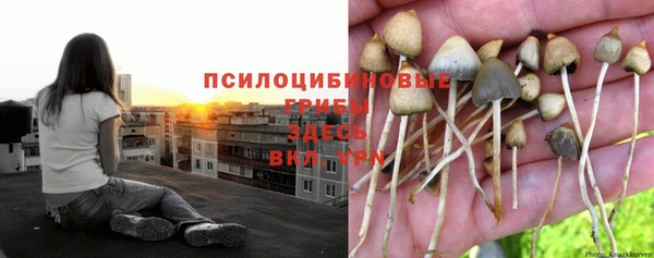 ешки Верхнеуральск