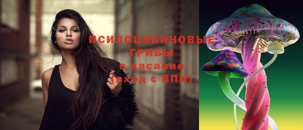 а пвп мука Верея